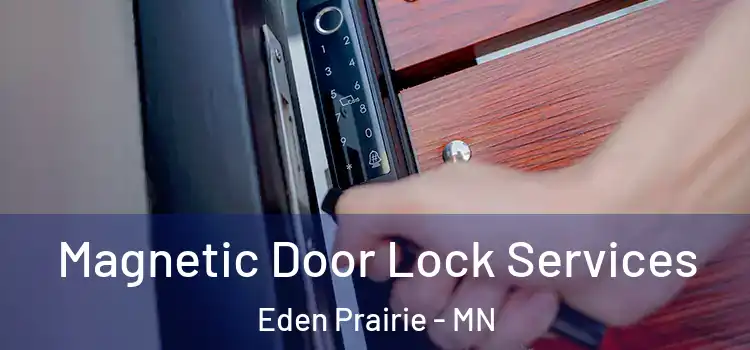 Magnetic Door Lock Services Eden Prairie - MN